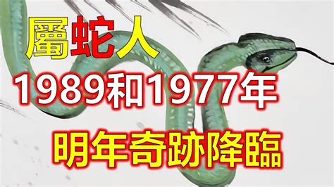 1977屬女蛇2023年事業